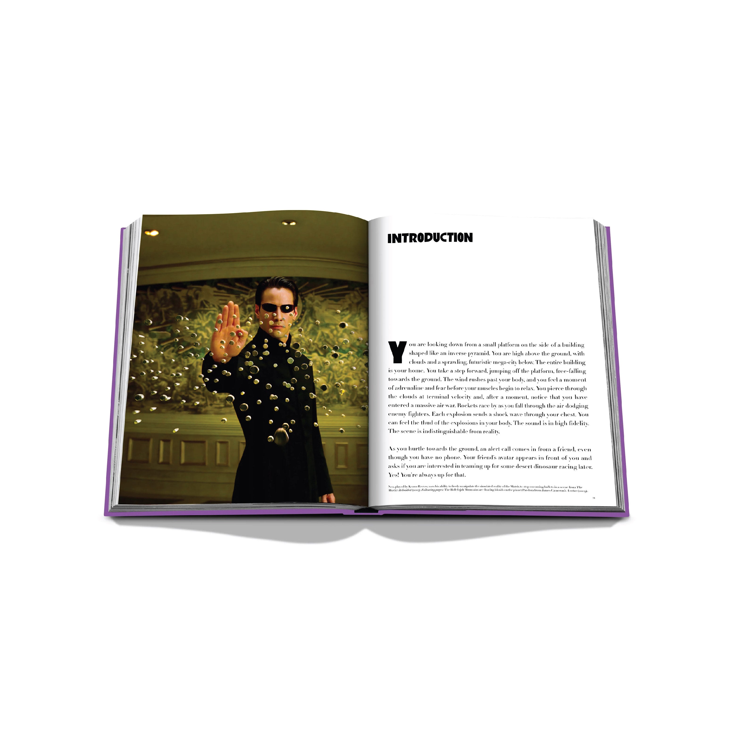 Metaverse Dream - Hardcover