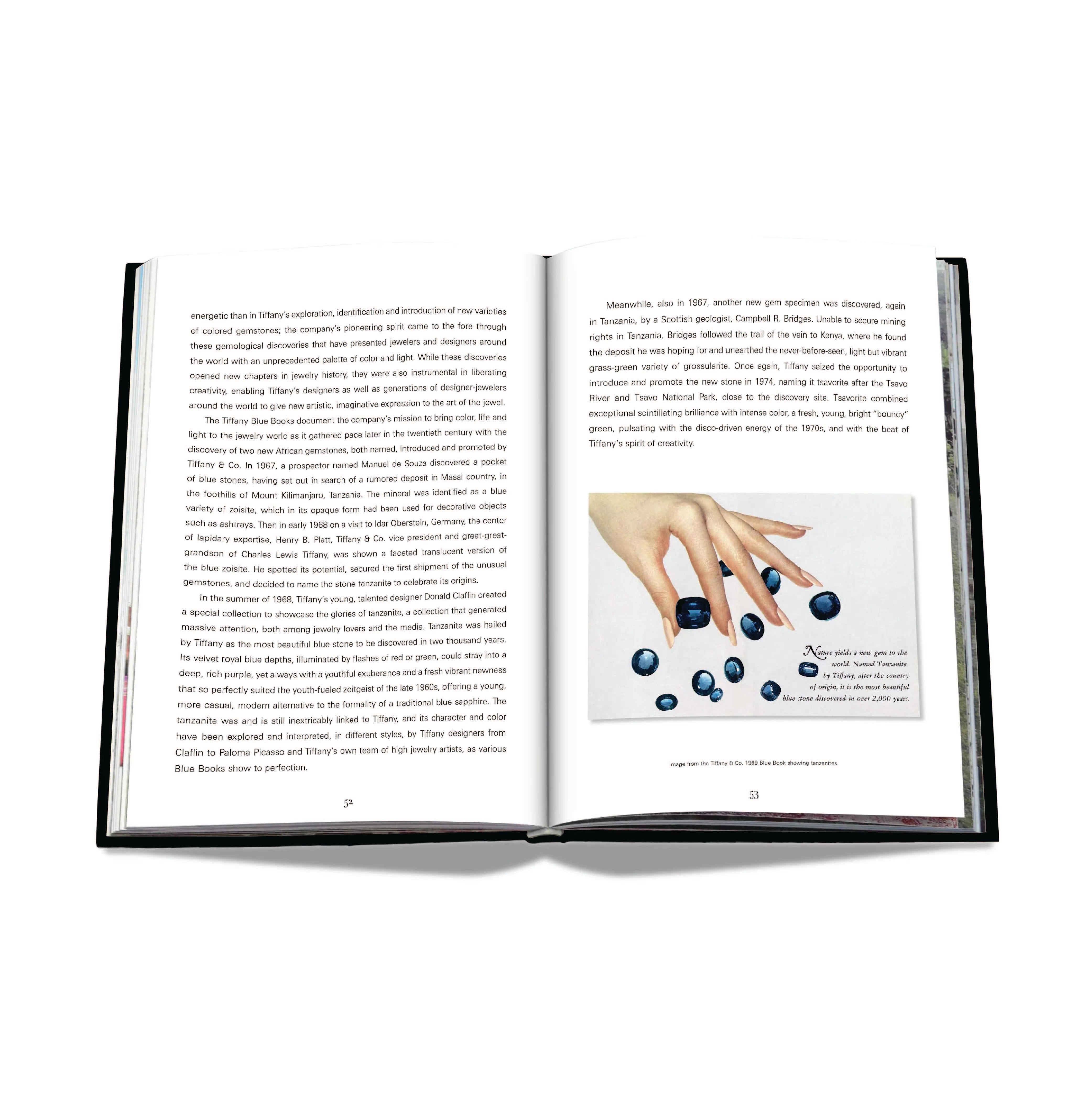 Tiffany & Co. Vision and Virtuosity - Paperback