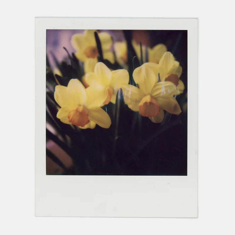 POLAROID 600 COLOR INSTANT FILM