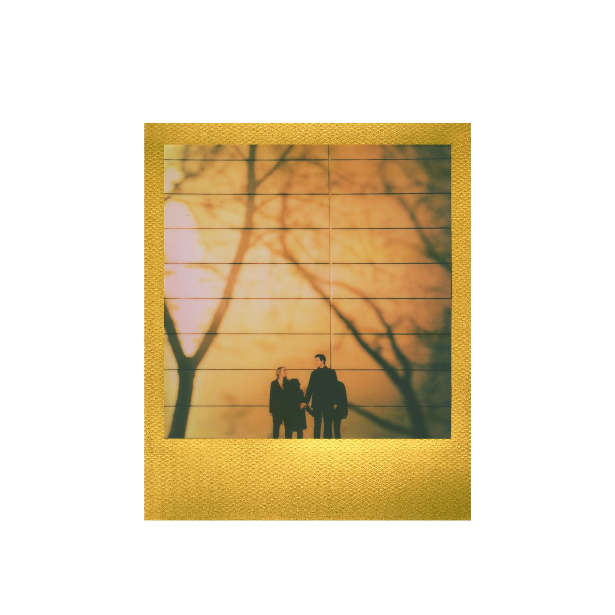 POLAROID COLOR I-TYPE FILM DOUBLE PACK - GOLDEN MOMENTS EDITION